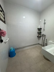 Blk 239 Bukit Panjang Ring Road (Bukit Panjang), HDB Executive #560514761